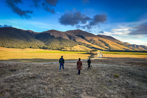 From Queenstown: Te Anau & Mavora Lakes Full-Day Tour