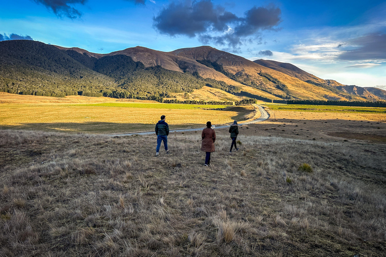 Från Queenstown: Te Anau &amp; Mavora Lakes dagsutflykt