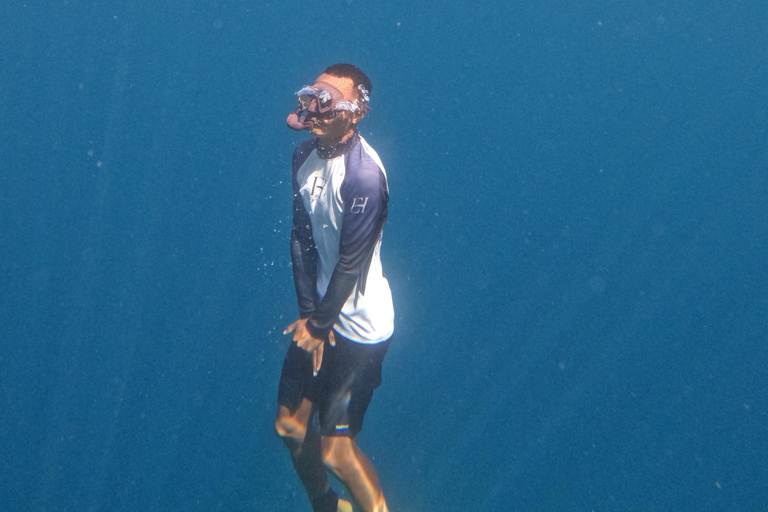 Labuan Bajo: Day Trip Snorkeling with Manta Rays and Turtles