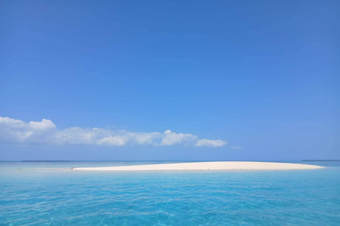 Zanzibar: Nyange Sandbank & Stone Town With Seafood lunch