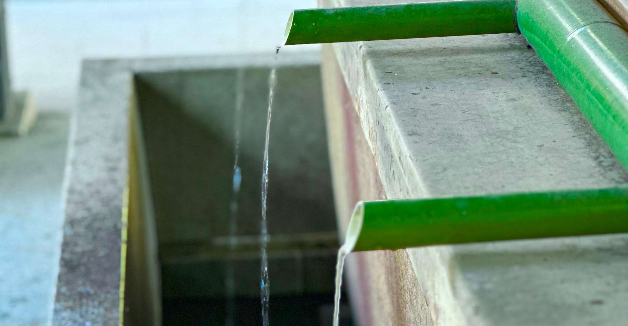 Tokyo: Meiji Jingu Shrine and Shinto Culture Walking Tour photo 6