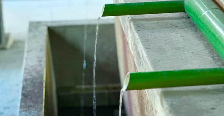 Tokyo: Meiji Jingu Shrine and Shinto Culture Walking Tour photo 6