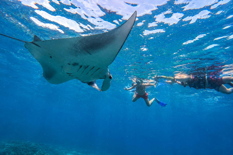 Nusa Penida: Manta Point & Turtle Point Snorkeling Sharing Manta Point Trip with Gamat Bay & Turtle Point