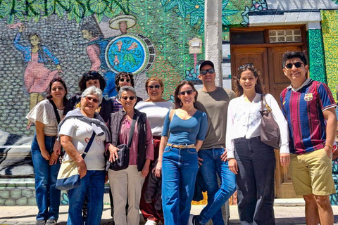Santiago: Valparaíso Cruise Port Transfer & Vineyard Tour