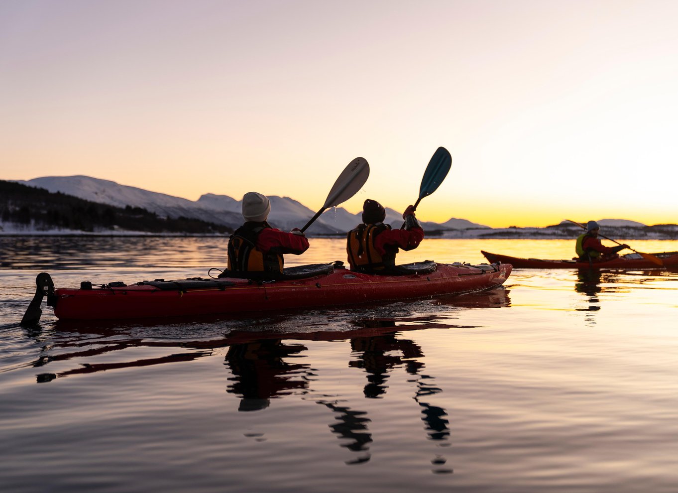 Tromsø: Vinterkajaktur med dyrelivsobservationer