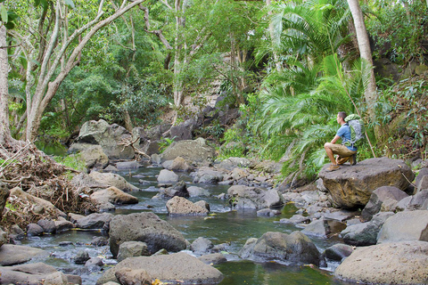 Desde Iquitos: Pacaya Samiria - Excursión de 3 días a la Selva Amazónica