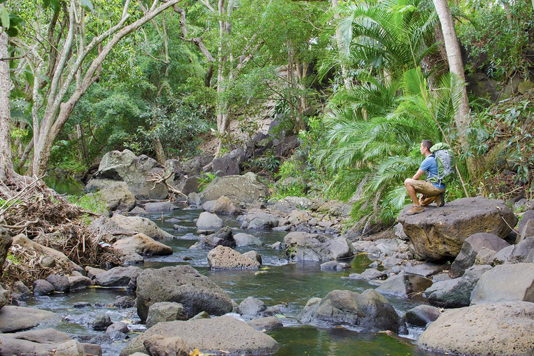 Från Iquitos: Pacaya Samiria - 3-dagars tur i Amazonas djungel