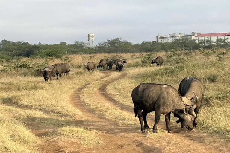 Nairobi: The Wild & The Brew Experience