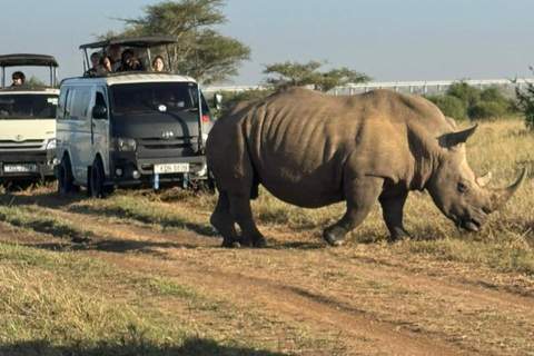 Nairobi National Park&Elephant Orphanage&Giraffe Centre Tour