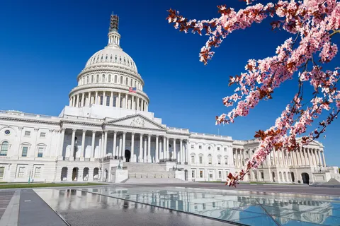 Heldagstur til Washington DC og Mount Vernon