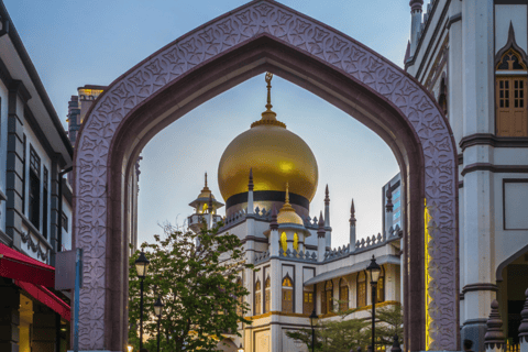 Singapore Chinatown, Kampong Glam,Little India Cultural Tour Singapore 3 Ethnic Quarters - Harmony Discovery Tour