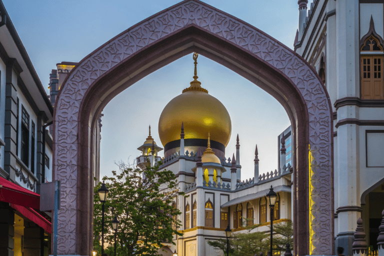 Singapore Chinatown, Kampong Glam,Little India Cultural Tour Singapore 3 Ethnic Quarters - Harmony Discovery Tour