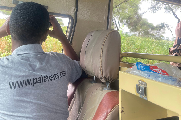 Tanzania Group Safaris Through Tanzania’s Top National Parks Arusha : 3 Days Serengeti and ngorongoro ngroup Safari