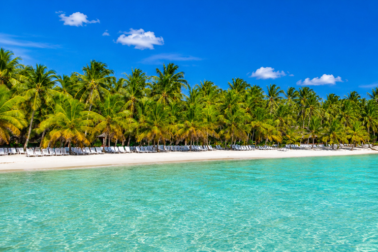 Punta Cana: Saona without the Crowds – 4-Beach Speedboat Sightseeing Tour and Lunch