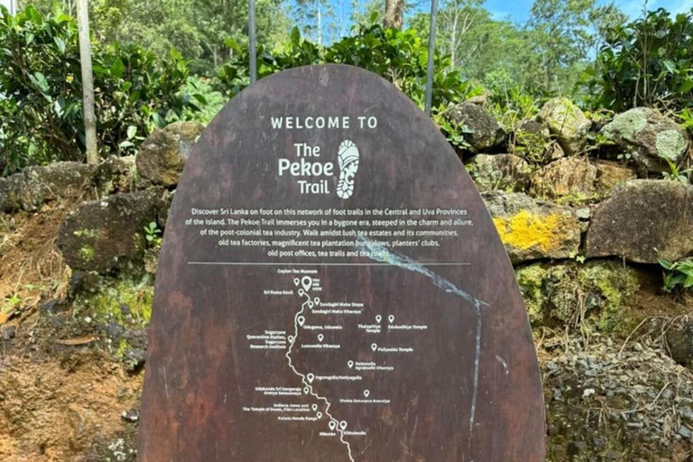 Kandy: Hidden Highlands Nature Walk