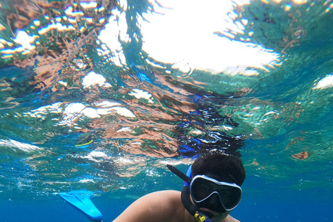 3 Gilis Snorkeling Tour Start Gili Air