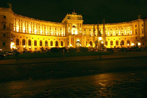 Viena: Tour nocturno privado con un local