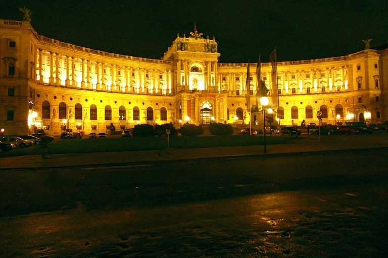 Viena: Tour nocturno privado con un local