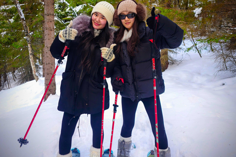 Tromsø Street to Wilderness: Guided Snowshoe Hike