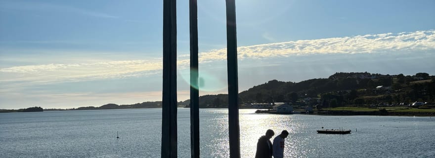 Stavanger : Excursion privée à vélo avec le monument des 3 épées