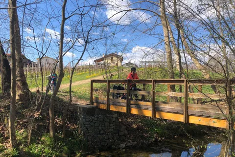 Valdobbiadene: Noleggio biciclette e degustazione di Prosecco