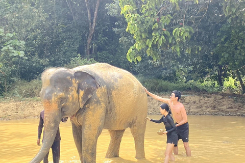 Khao Lak: Khao Sok Elephant Sanctuary and Night Jungle Walk Khao Sok Elephant Sanctuary and Night Jungle Walk