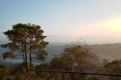 Safári pela cidade: Cinco dias de descobertas