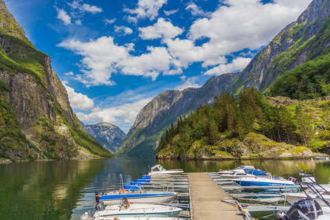 Guided tour: Viking Village Nærøyfjorden Cruise Flåm Railway