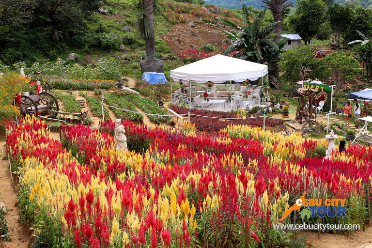 Cebu: Simala Shrine and City Tour Package A
