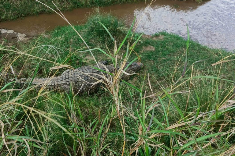 Nairobi: National Park Safari with Hotel Pickup in a Van