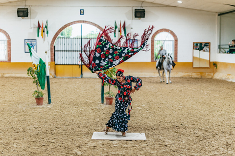 Malaga: Horse Show with Dinner, Drinks & Live Flamenco Show Only horse show with a bit of flamenco dancing