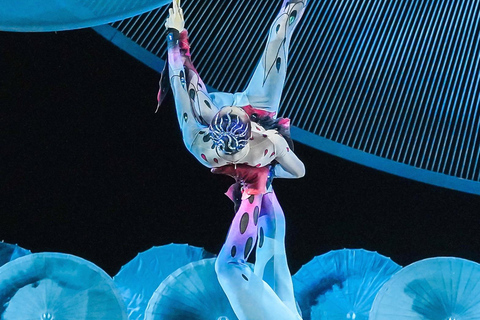 جولة تجمع بين الألعاب البهلوانية وعروض الأوبرا في بكين