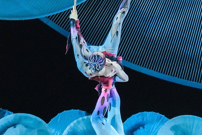 جولة تجمع بين الألعاب البهلوانية وعروض الأوبرا في بكين