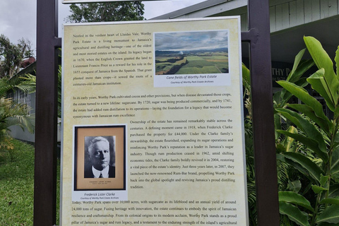 Worthy Park Estate Rum Distillery Tour with Tasting