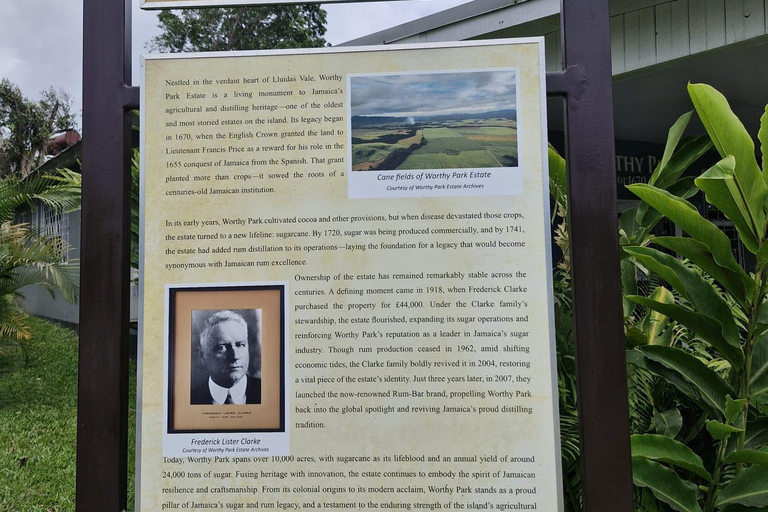 Worthy Park Estate Rum Distillery Tour with Tasting