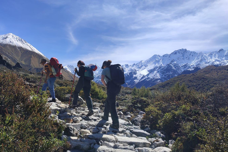Kathmandu: Langtang Valley Trek 8-Days Guided Trek