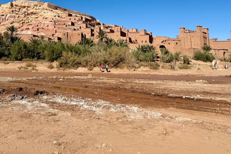 From Marrakech: 3-Day Merzouga Tour with Camel Trek & Luxury Camp Shared Standard Sahara Tour – Popular Choice