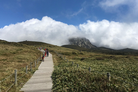 Tour en autobús por el oeste de la isla de Jeju desde la ciudad de Seogwipo, isla de JejuTour en autobús por el oeste de la isla de Jeju / Incl. alojamiento y desayuno