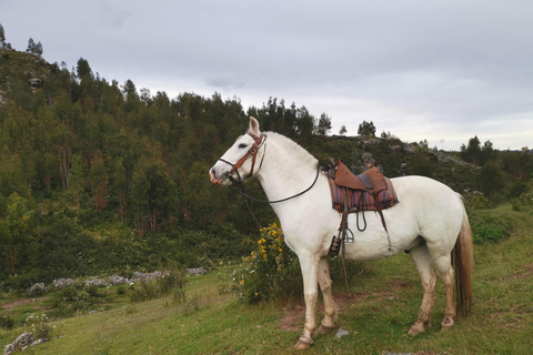Cusco: Horseback Riding Tour to Inca Temples and Viewpoints