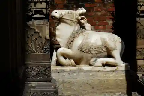 Walking Tour in the old part of the city of Varanasi
