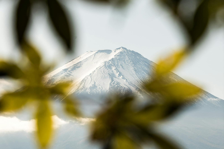 Tokyo: Privat dagsutflykt till Fuji-berget och Hakone