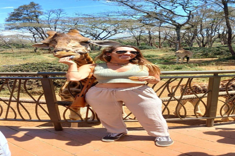 Nairobi National Park, Elephant orphanage & Giraffe Centre