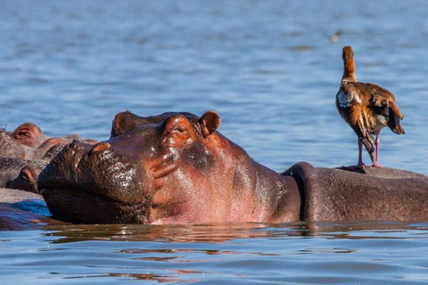 From Nairobi: Hell’s Gate National Park & Lake Naivasha