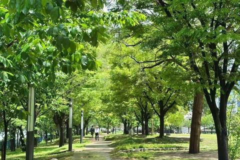 Osaka: Nakanoshima Water City & Modern Civilization Tour