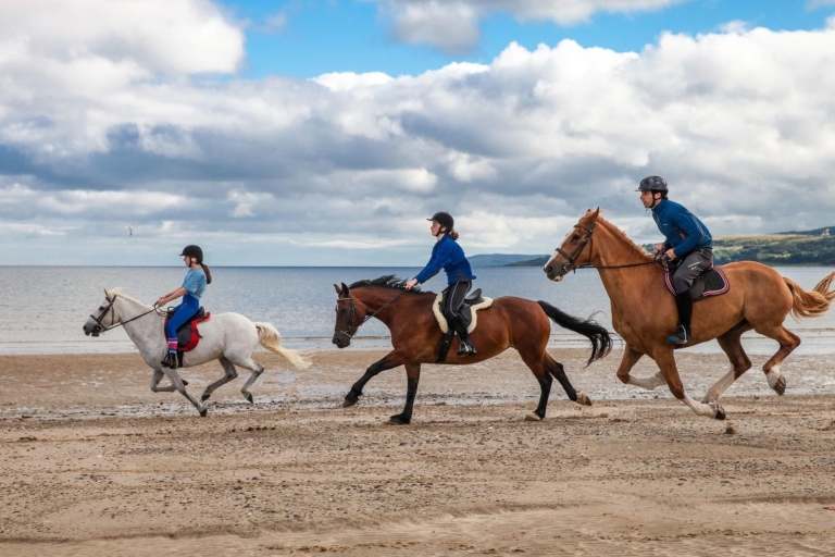 Antalya: Safari a caballo por el bosque y la playa