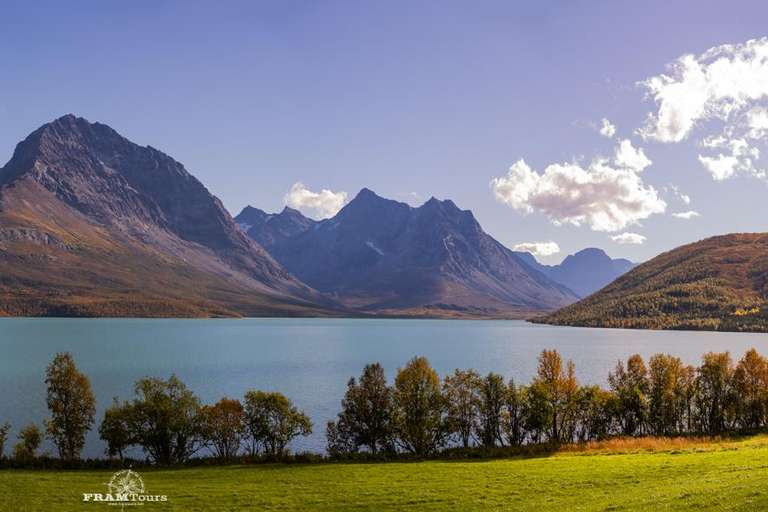特罗姆瑟：正宗林根阿尔卑斯山探险之旅（含美景午餐）特罗姆瑟：正宗的林根阿尔卑斯山探险之旅（含美景午餐）