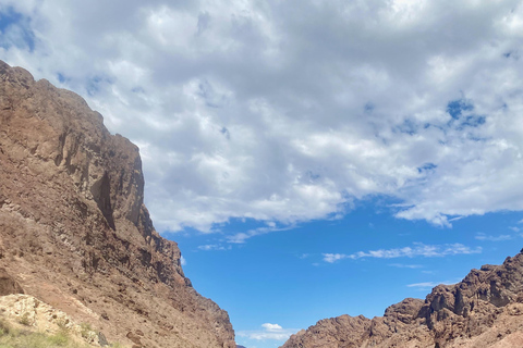 Plage de Willow : Location de paddle board