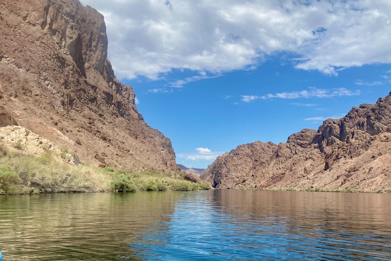 Plage de Willow : Location de paddle board