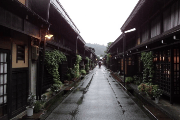 Visite à la journée de Shirakawago&amp;HidaTakayama&amp;GujoHachiman depuis Nagoya