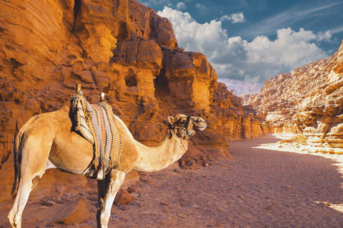 Moses Mountain &amp; Saint Catherine from Dahab